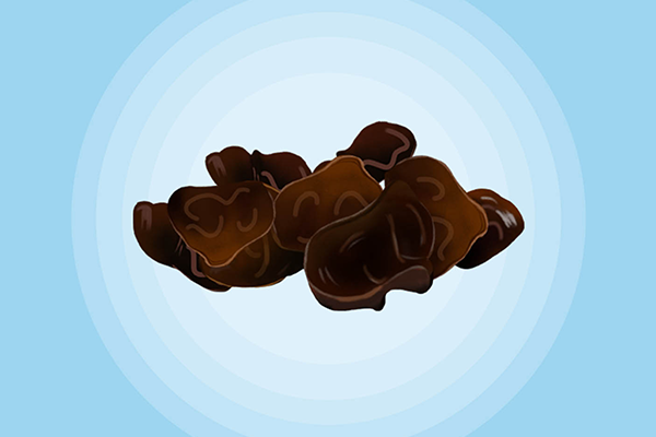 木耳的功效与作用、禁忌和食用方法