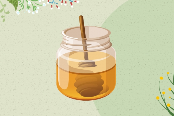 椴树蜜的功效与作用、禁忌和食用方法