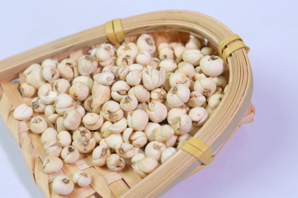 川贝的功效与作用、禁忌和食用方法