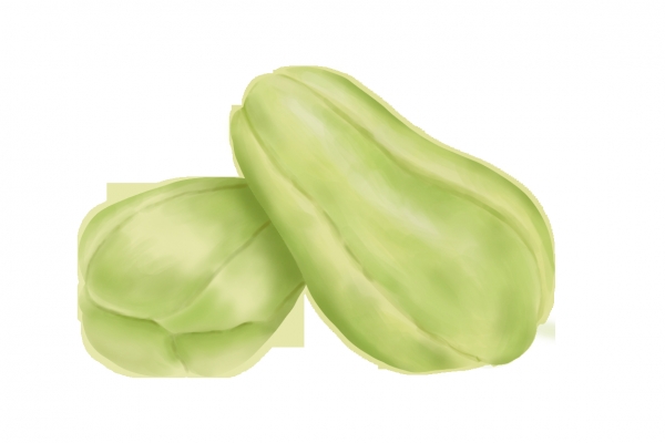 佛手瓜的功效与作用、禁忌和食用方法