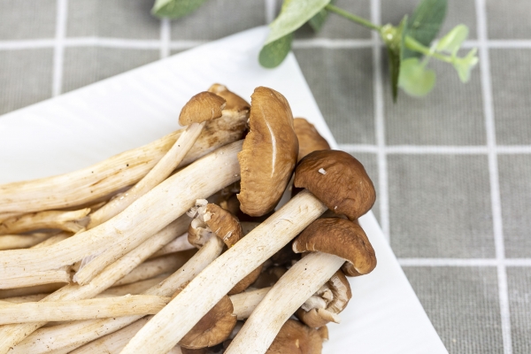 鸡腿菇的功效与作用、禁忌和食用方法