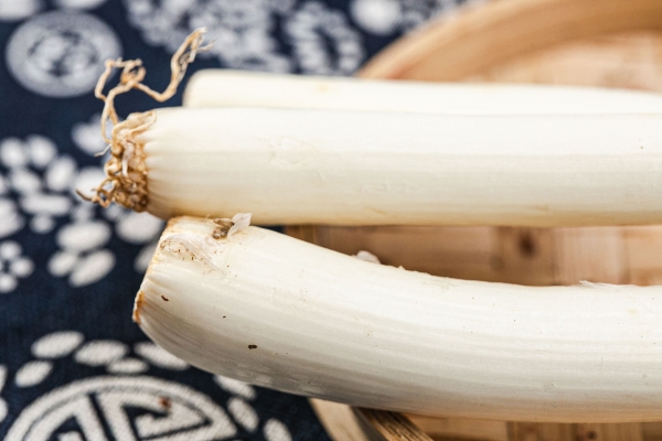 大葱的功效与作用、禁忌和食用方法