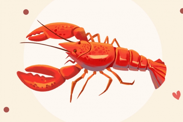 龙虾的功效与作用、禁忌和食用方法