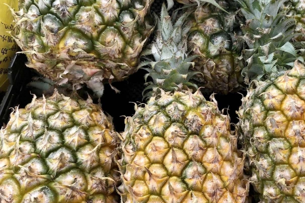 凤梨的功效与作用、禁忌和食用方法