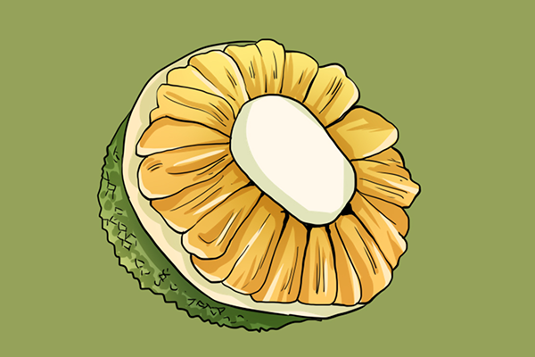 菠萝蜜的功效与作用、禁忌和食用方法