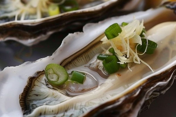 牡蛎的功效与作用、禁忌和食用方法