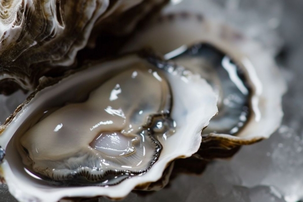 牡蛎的功效与作用、禁忌和食用方法