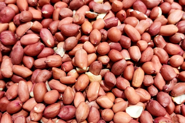 花生的功效与作用、禁忌和食用方法