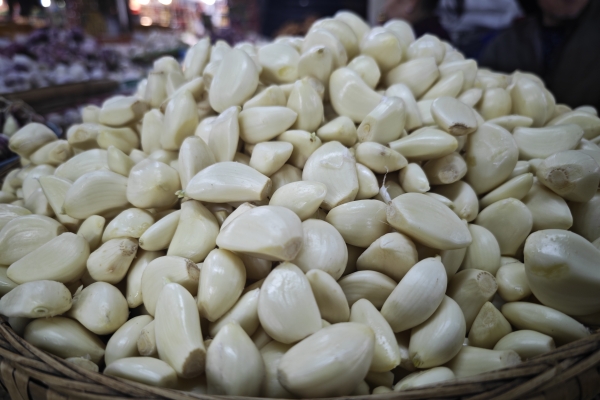 野蒜的功效与作用、禁忌和食用方法