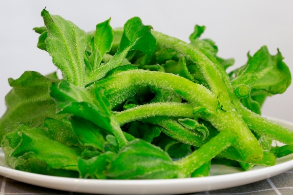 冰菜的功效与作用、禁忌和食用方法