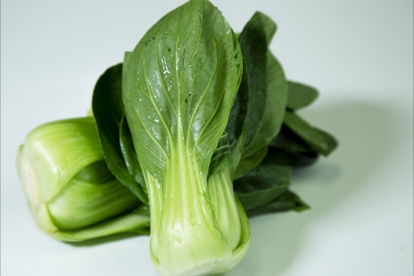 上海青的功效与作用、禁忌和食用方法