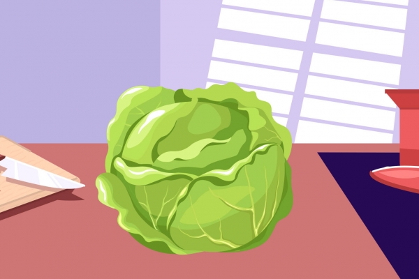 紫甘蓝的功效与作用、禁忌和食用方法