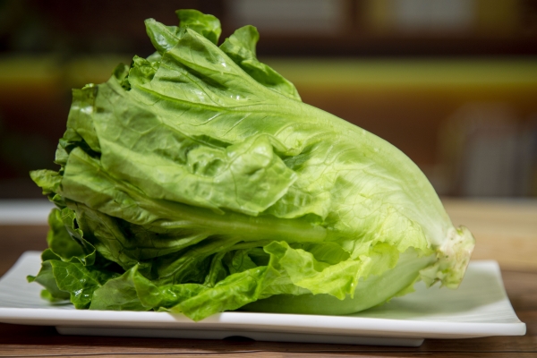 生菜的功效与作用、禁忌和食用方法