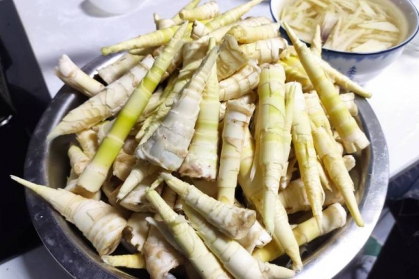 竹笋的功效与作用、禁忌和食用方法