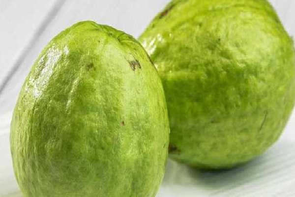 芭乐的功效与作用、禁忌和食用方法