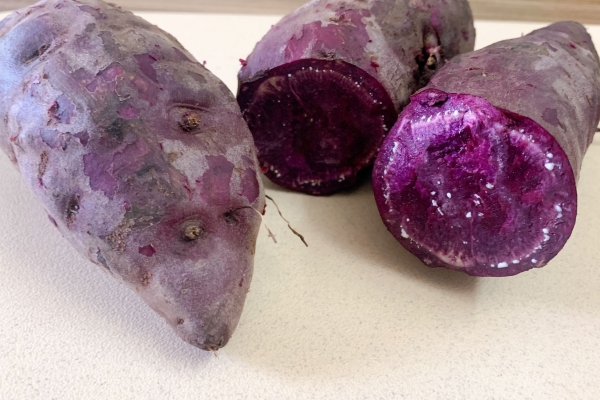 木薯的功效与作用、禁忌和食用方法