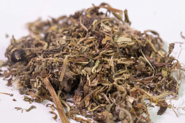 蒲公英的功效与作用、禁忌和食用方法