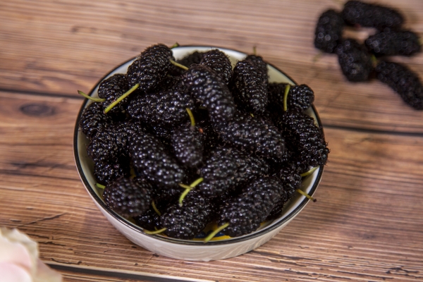 桑葚子的功效与作用、禁忌和食用方法