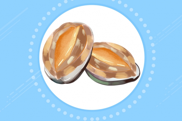 鲍鱼的功效与作用、禁忌和食用方法