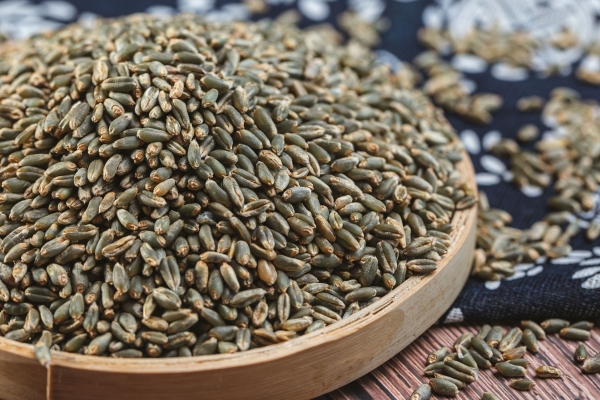 大麦的功效与作用、禁忌和食用方法