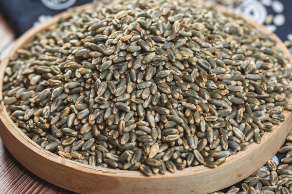 大麦的功效与作用、禁忌和食用方法