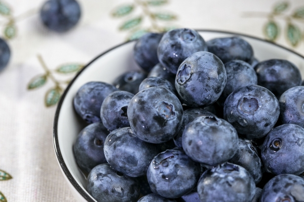 蓝莓的功效与作用、禁忌和食用方法