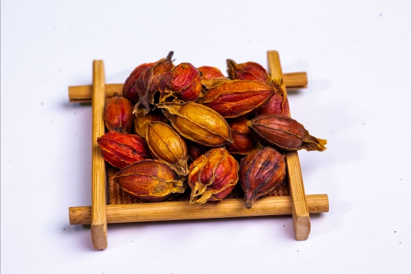 栀子的功效与作用、禁忌和食用方法