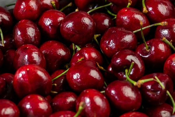 车厘子跟什么相克