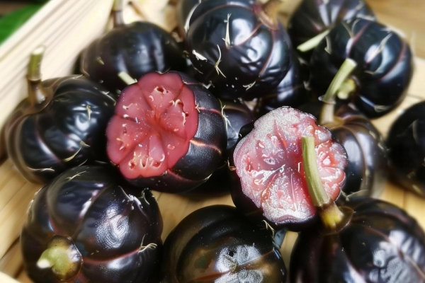 红果参的功效与禁忌