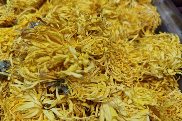 金盏花的功效与作用、禁忌和食用方法