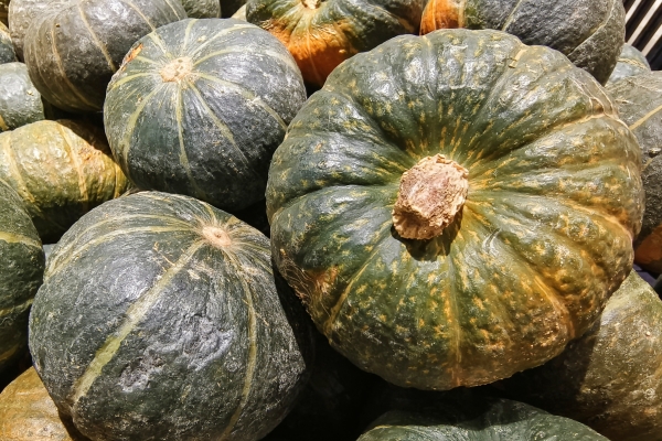 羊肉相克的食物