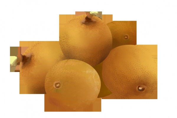 桂圆皮的功效与作用