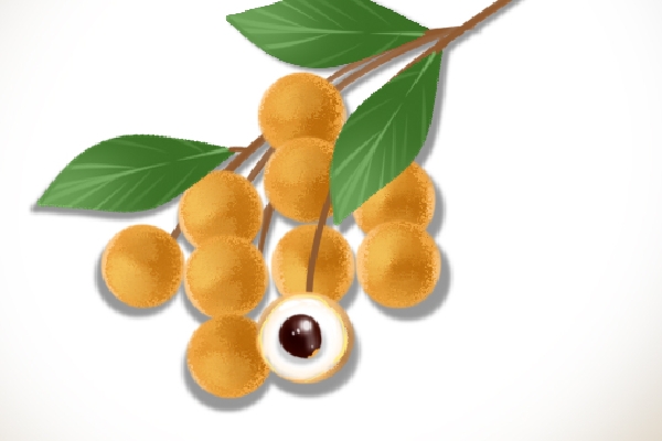 桂圆跟龙眼有什么区别