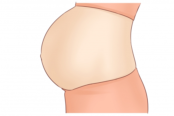 白头翁可以治疗脱发吗