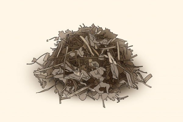 老鹳草一年长几茬