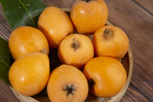 枇杷怎么保存时间长