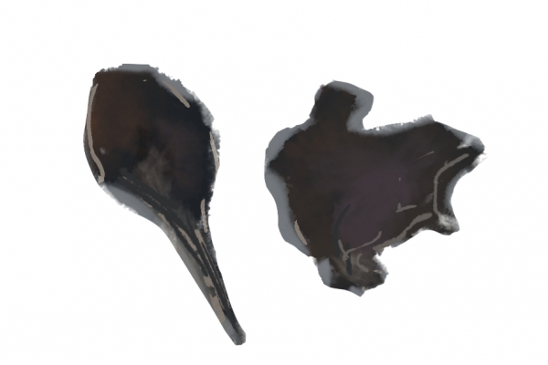 黑顺片为什么叫黑顺片