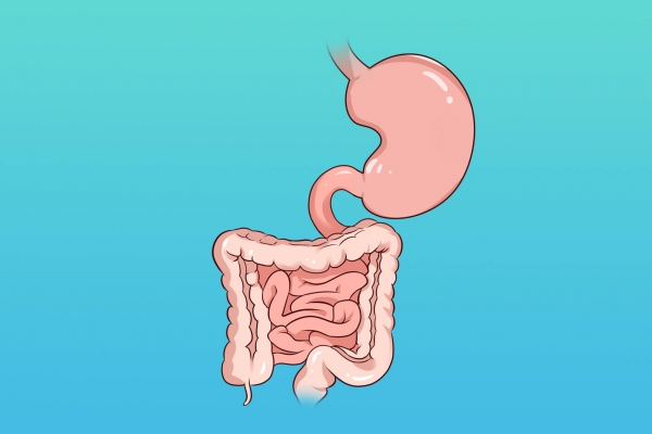 4类人群不宜吃桑葚