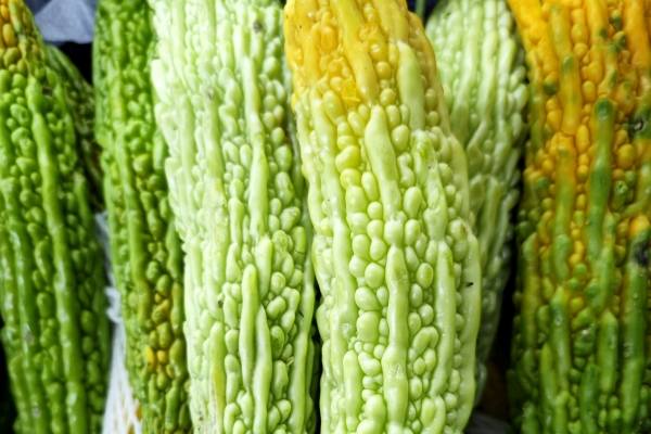 小满节气吃什么