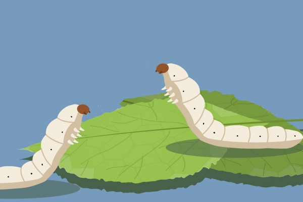 小满的习俗是什么