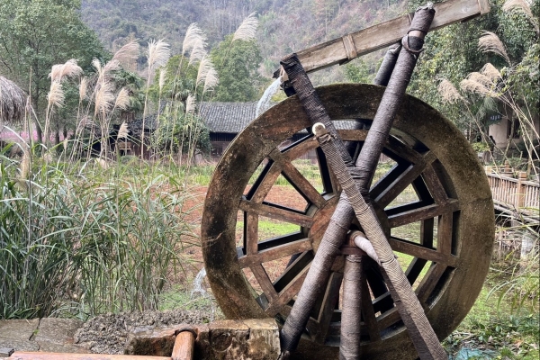 小满的习俗是什么