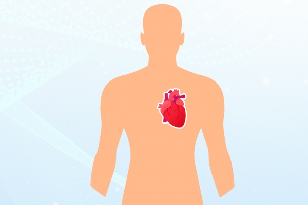 人心脏的位置在哪里