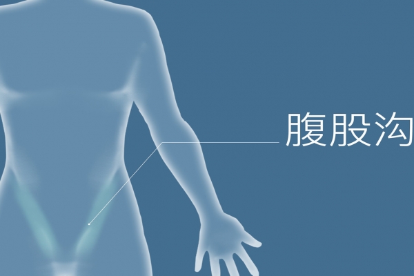 腹股沟在哪个位置