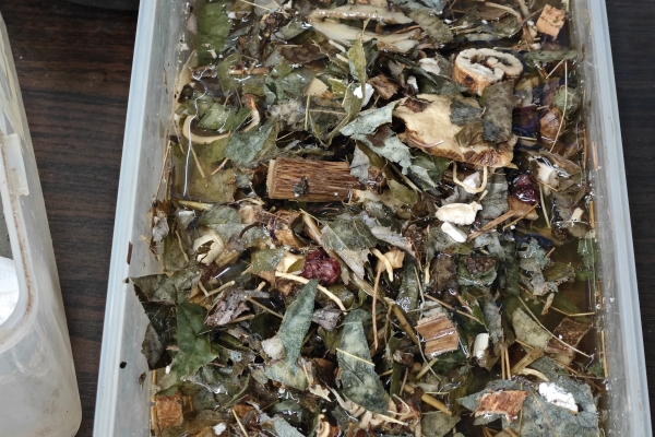 黑顺片怎么去毒性