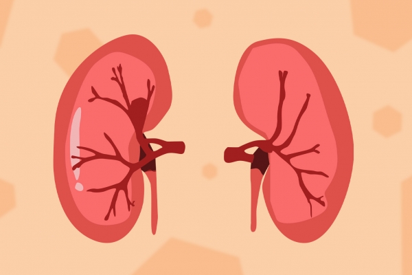 黑顺片熬水放多少