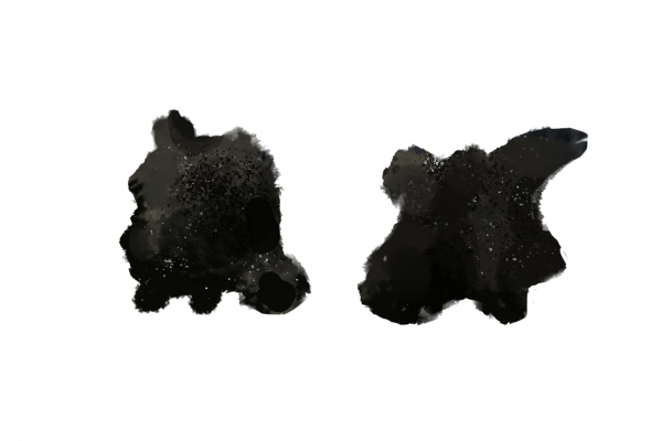 黑顺片什么样子的