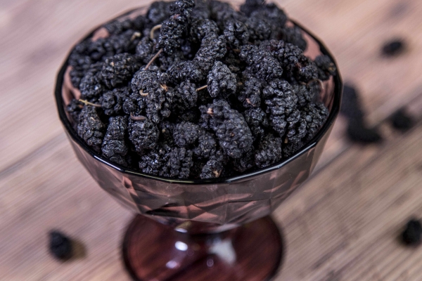 桑葚什么季节成熟