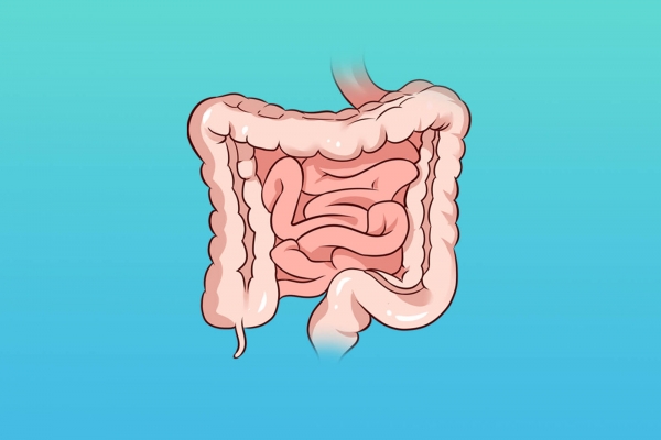 中药大叶白头翁的别名