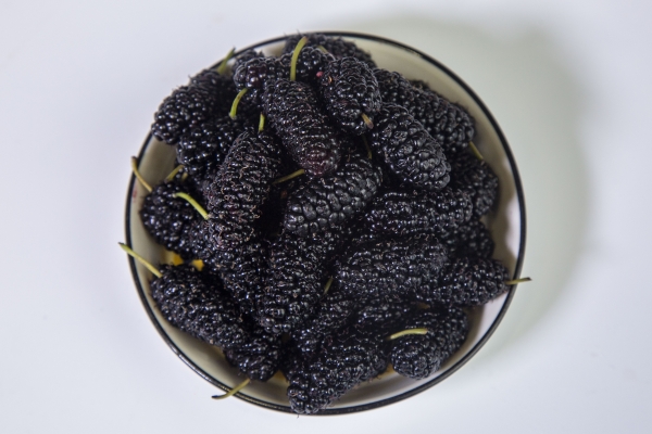 桑葚怎么清洁才干净