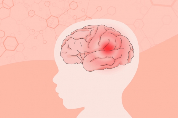 白头翁可以治疗脑炎吗